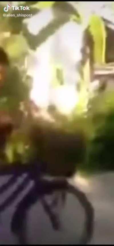 Ignoren la marca de T.I.K.T.O.K