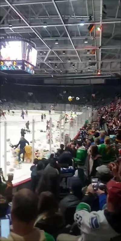 Little girl gets rocked by bear at Abbotsford Canucks teddy bear toss
