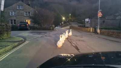 Classic Hebden Bridge