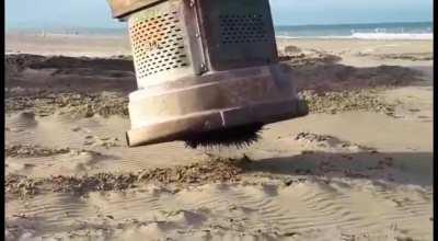 Thanks, I hate spicy barefoot surprises