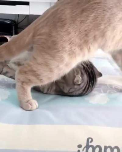 What are you doing 😂😂😂😂😂