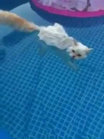 If I floats, I boats.