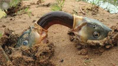 Everything reminds me of him