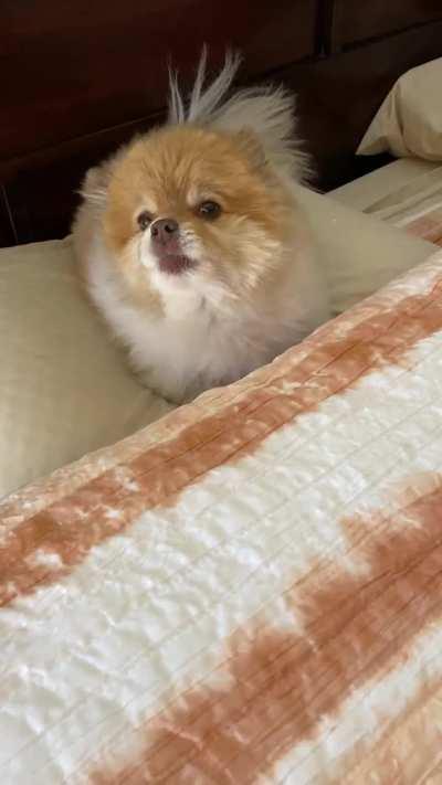 At least one of us can sing!!