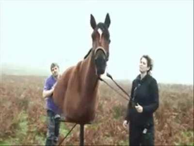 Реалистичненько