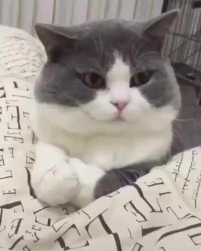 Please respect social distancing