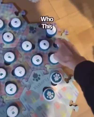 Dog becomes a bit too self aware