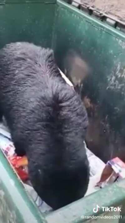 Waiting to post this was unbearable