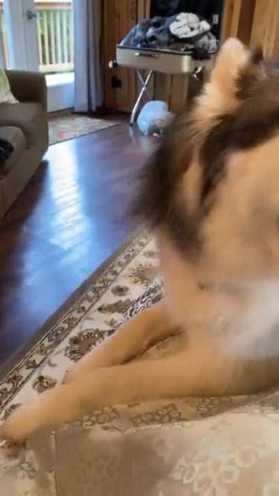 Took her camping and won’t let her live outside