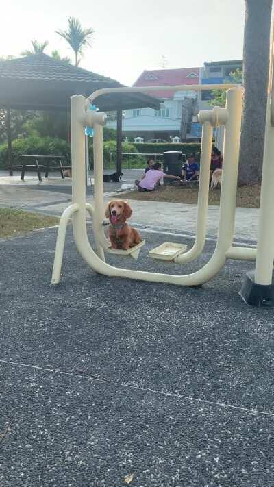 If I fits, I swings.