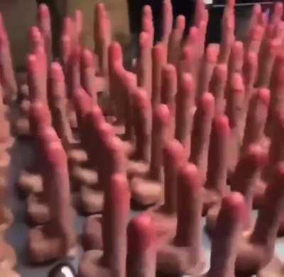 power at your fingertips