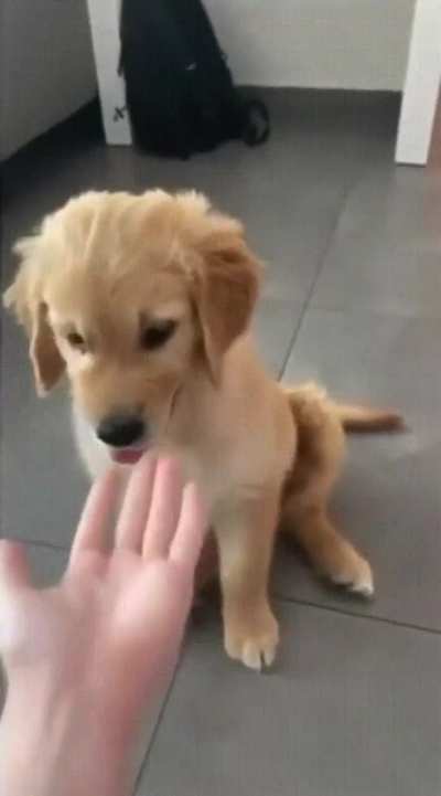 always the two types