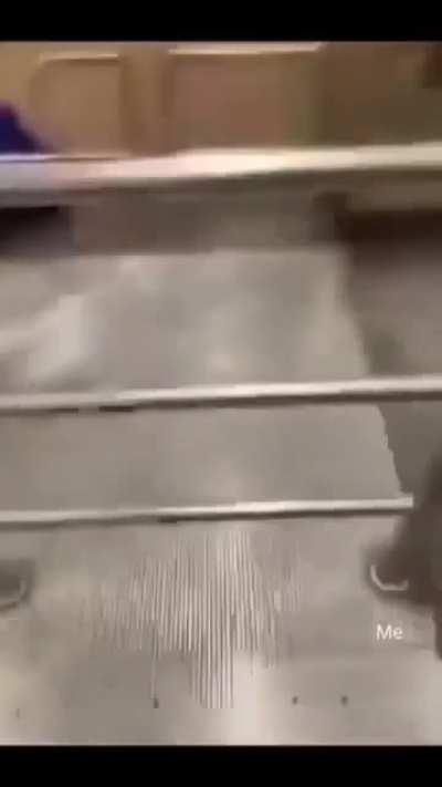 wonder how wonder why