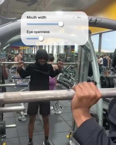 Face Feature Customization