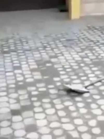 Kyle vs. The Shovel...