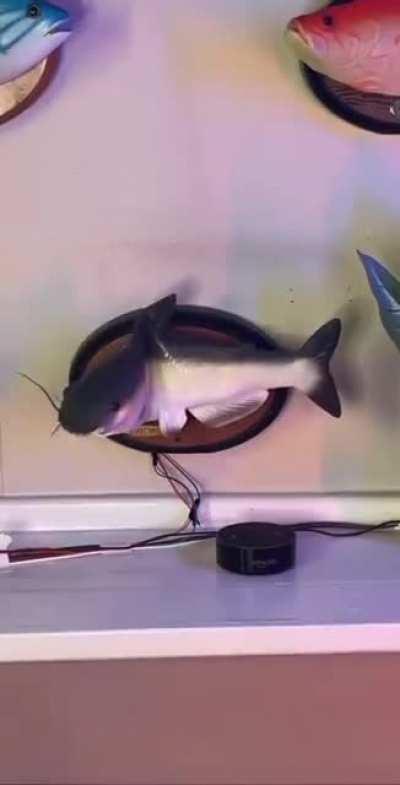 O MALUCO DEU UM CORPO PRA ALEXA!!!! agora fudeo