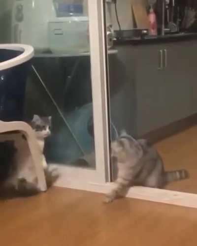 The screen was not shut