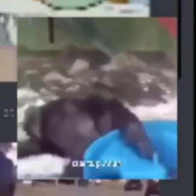 No joke 20 videos into 1 shitpost