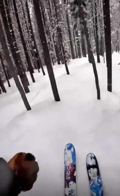 Little Alpine Skiing