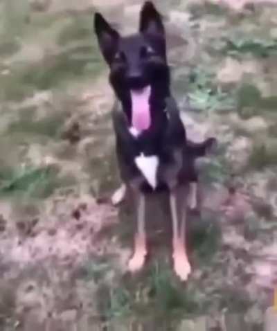 Do you want the Ball?