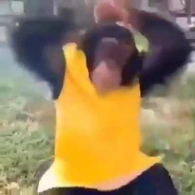 Monkeybanana flip 😎