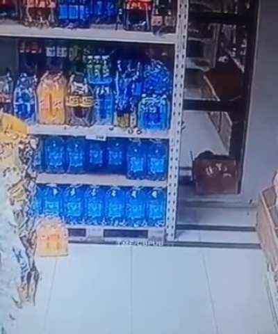 Everything in its right place