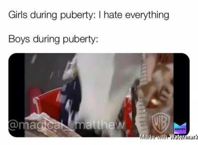 The “malt” machine