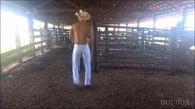 average texan