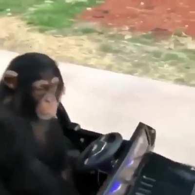 Seth Rogan Going To Work