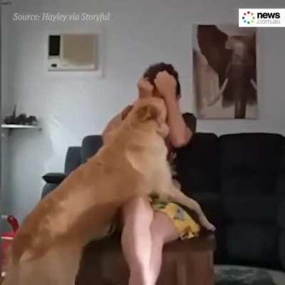 This dog helps an autistic teenager with her panic attacks