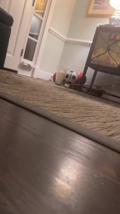 They were right she really is 10x meaner than real Nicole