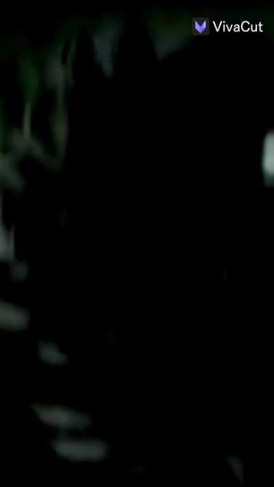 Imagine ele no dead by daylight