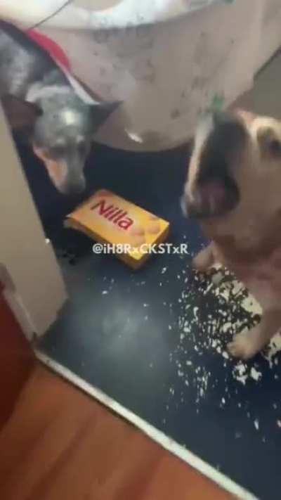 When the voice-over syncs perfectly.