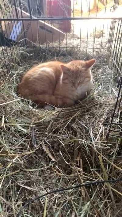 he's not a step-dad, but a dad that stepped up! 