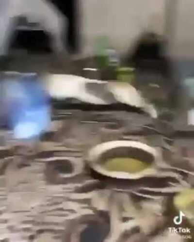 Cat's in - Human out.