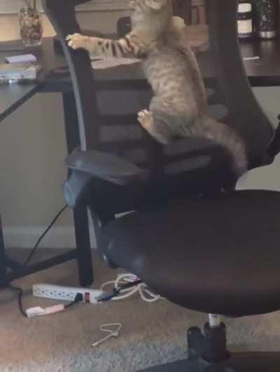 Work Hard, Derp Harder.