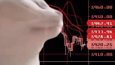 Mein Portfolio heute