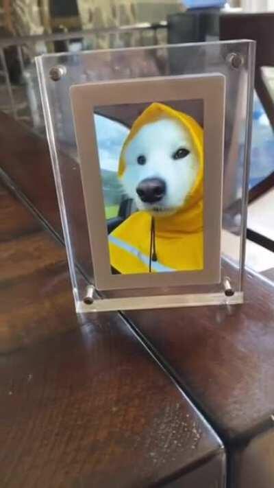 His smile can make anyone smile 🥺