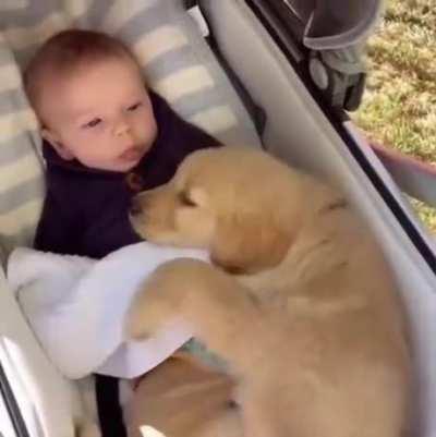 Baby and Dog being together