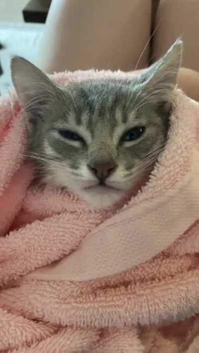 Kitty purrito is mad that she had to take a bath, but that’s what happens when you sleep in your kitty litter.