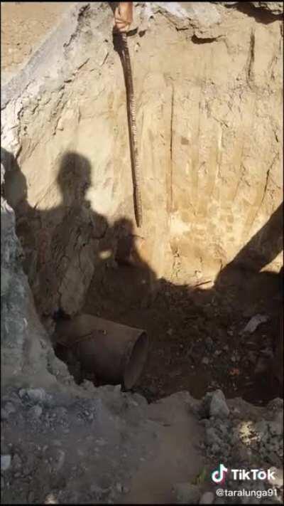 Enny when he finally shits