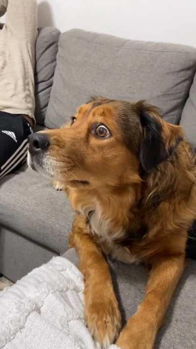 The Most Exciting Nature Episode Ever...