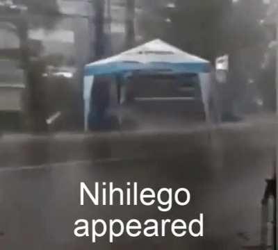 Nihilego appeared