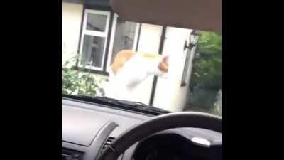 Yakuza 0's SEGA intro in a nutshell