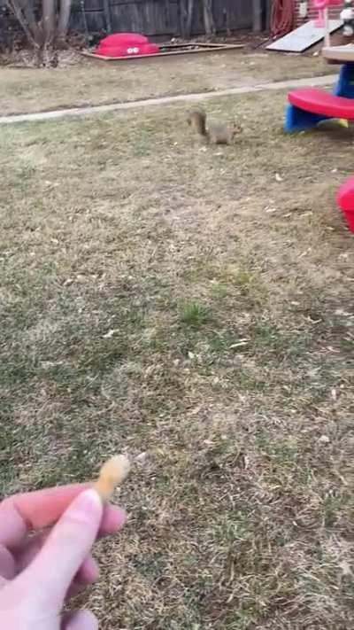 Play stupid games, win stupid prizes