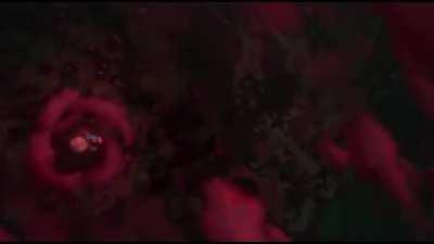 Trusted User Moment (warning loud)