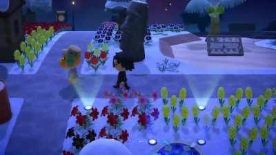 I guess the coffee wore off?