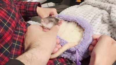 He enjoys being the center of attention