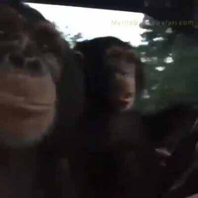 Henry's Content rite here