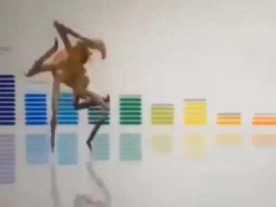 crab, just returned after 8 months